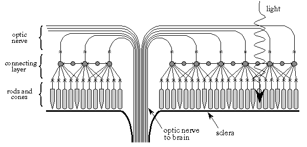 [Figure 23-5]