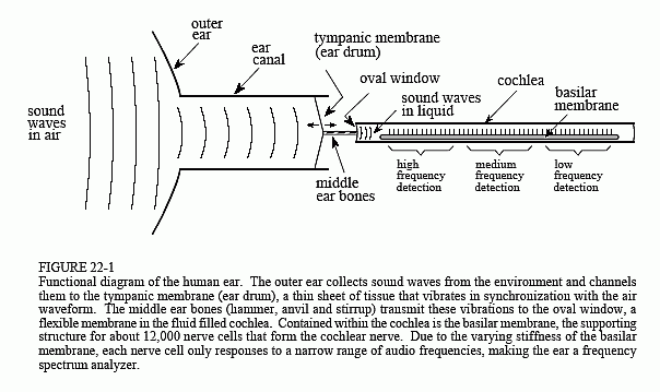 Sound Waves Chart Pdf